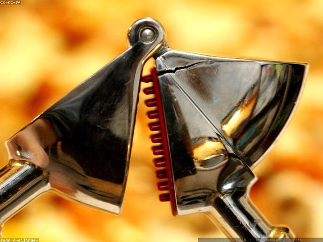 Cast Aluminium Garlic Press