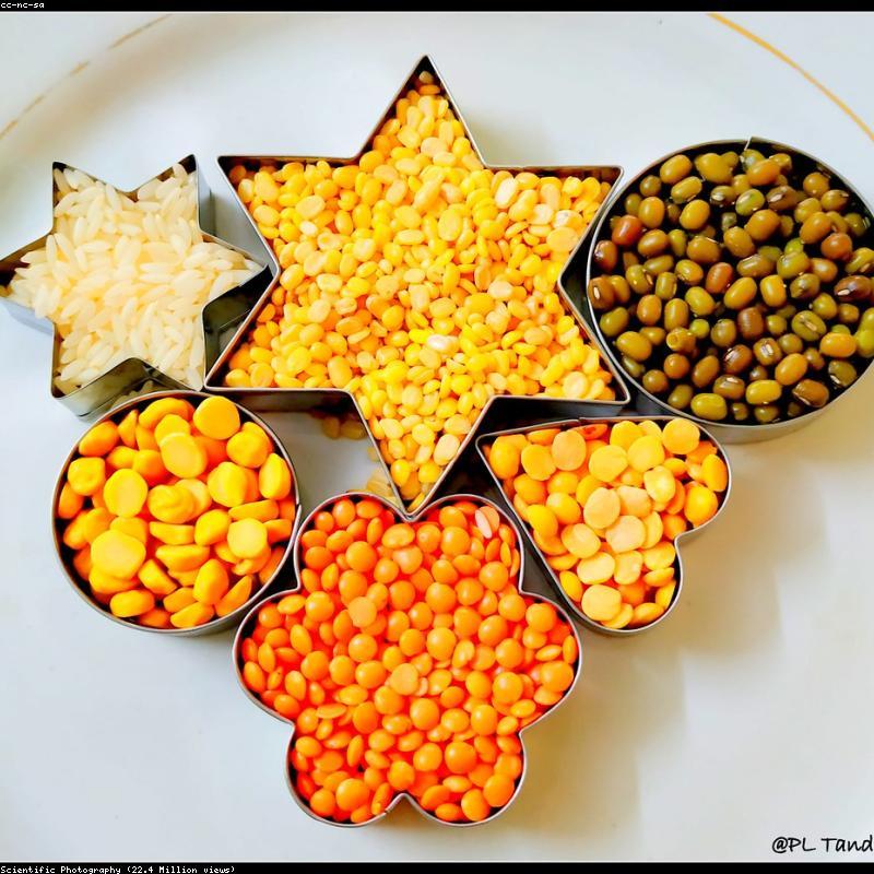 Lentils 500g